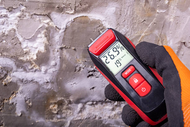 Best Attic Mold Removal  in , CT